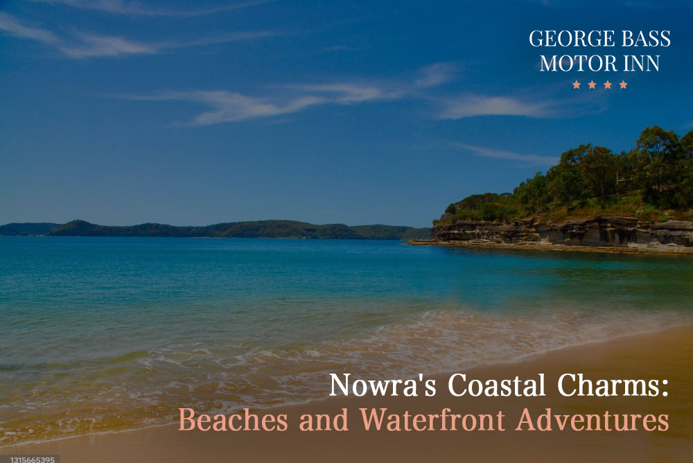 Nowra’s Coastal Charms: Beaches and Waterfront Adventures